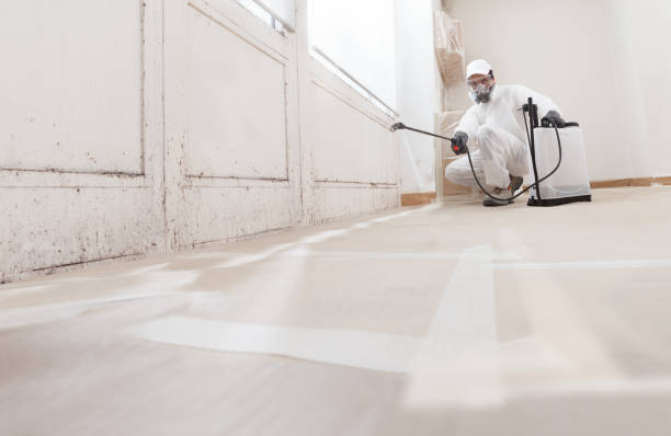 24/7 Emergency Mold Cleanup experts in Milltown, NJ